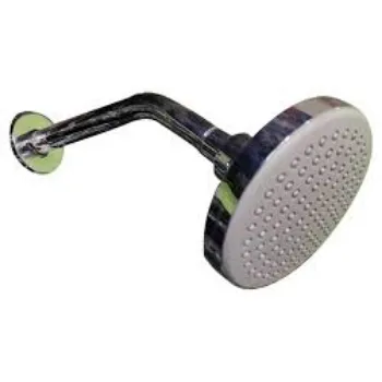 Silver Shower Head